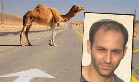 דוד כהן ז''ל (צילום: באדיבות המשפחה)